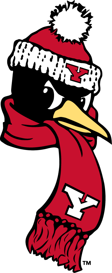 Youngstown State Penguins 2018-Pres Secondary Logo v3 diy DTF decal sticker